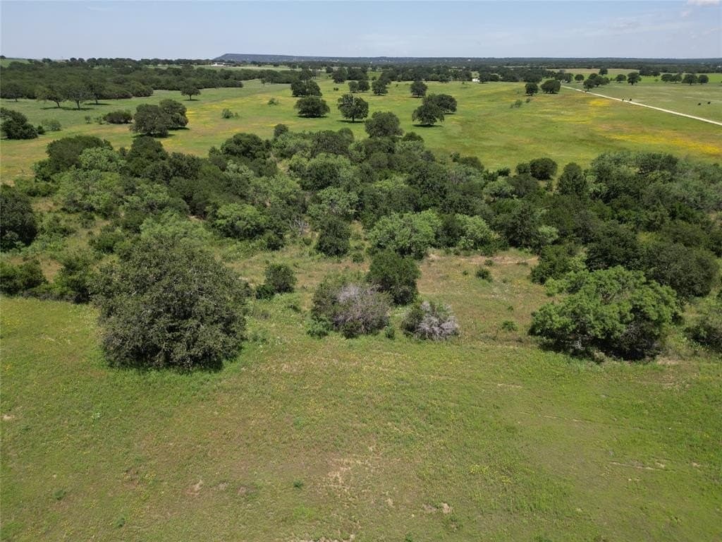 133.31 acres in Callahan County gallery image 2