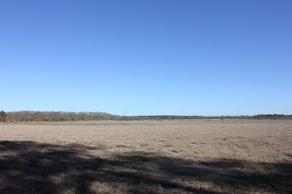 11.5 acres in Texas County gallery image 2