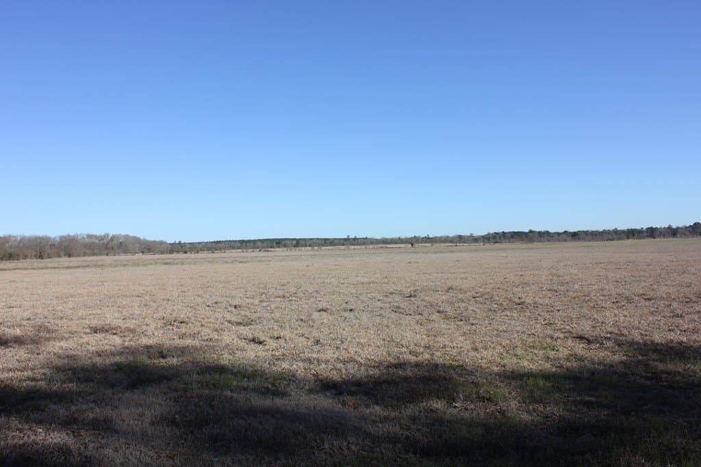 11.5 acres in Texas County - photo 6