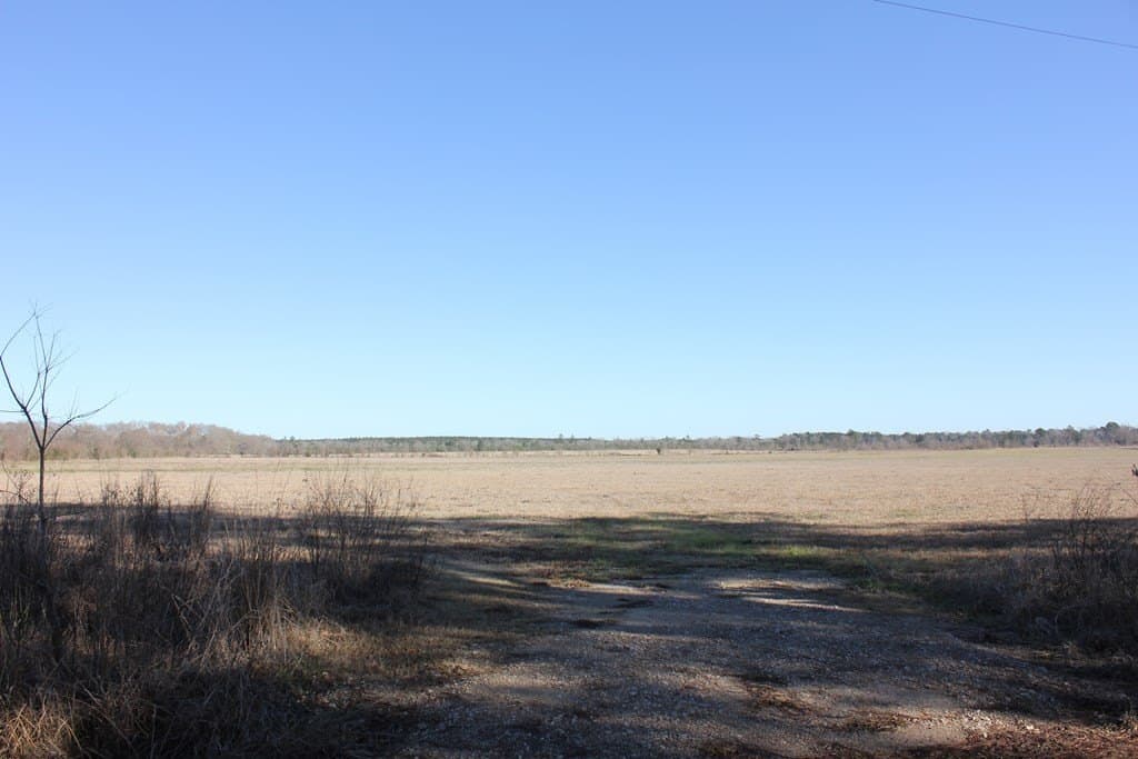 11.5 acres in Texas County - photo 7