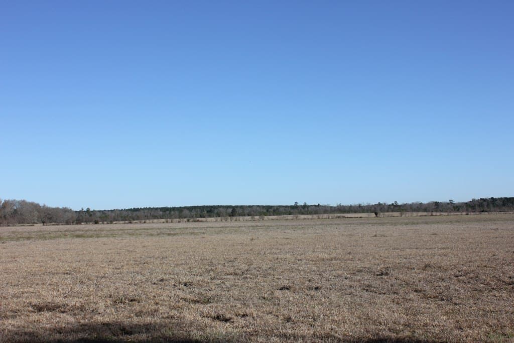 11.5 acres in Texas County gallery image 3