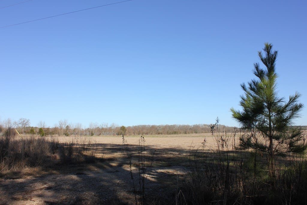 11.5 acres in Texas County - photo 8