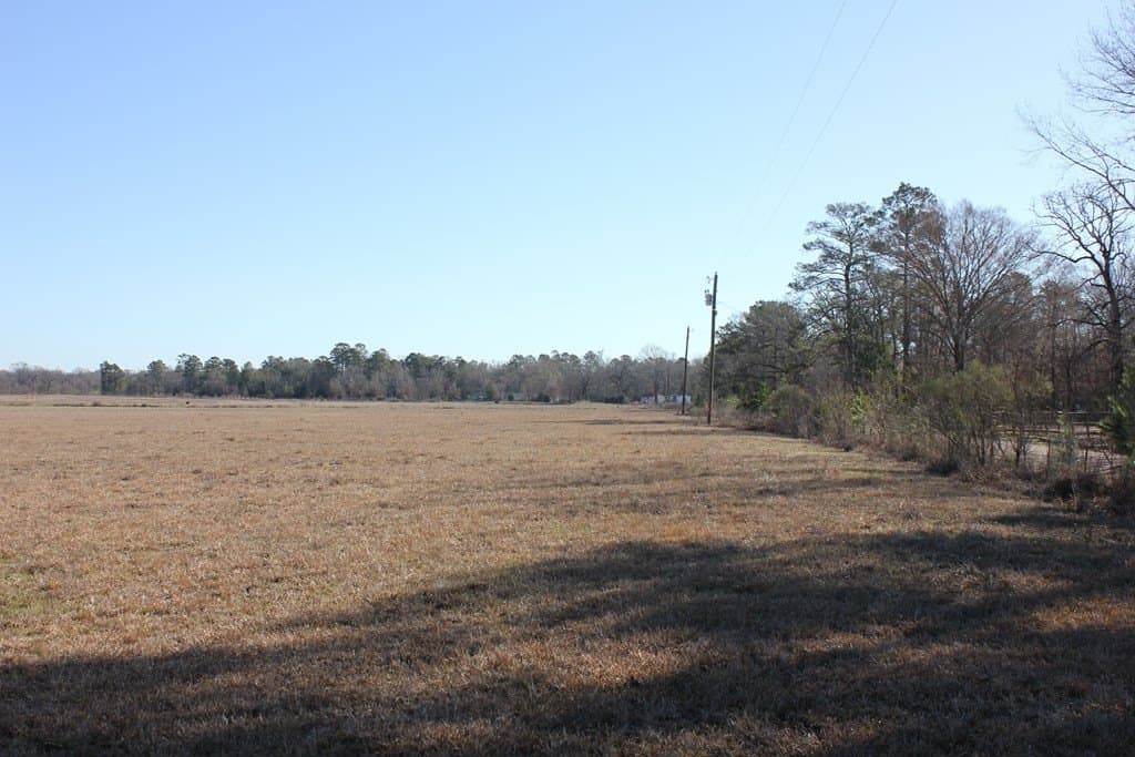 11.5 acres in Texas County featured view