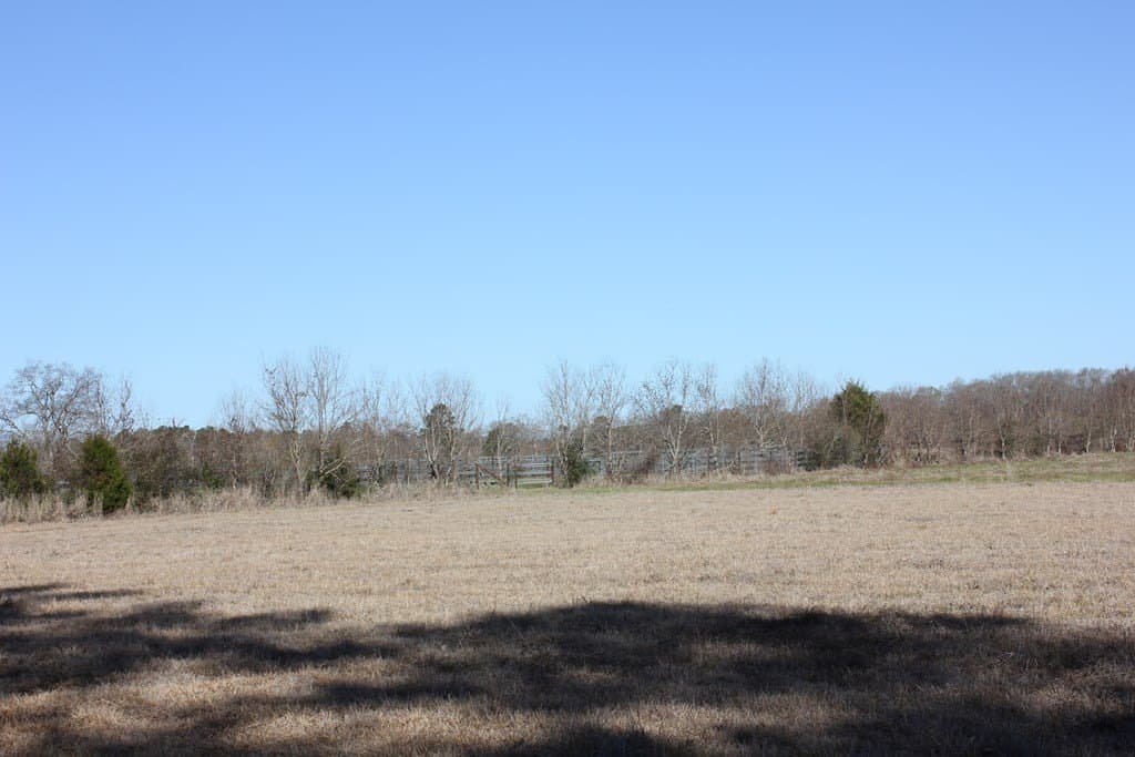 11.5 acres in Texas County gallery image 4