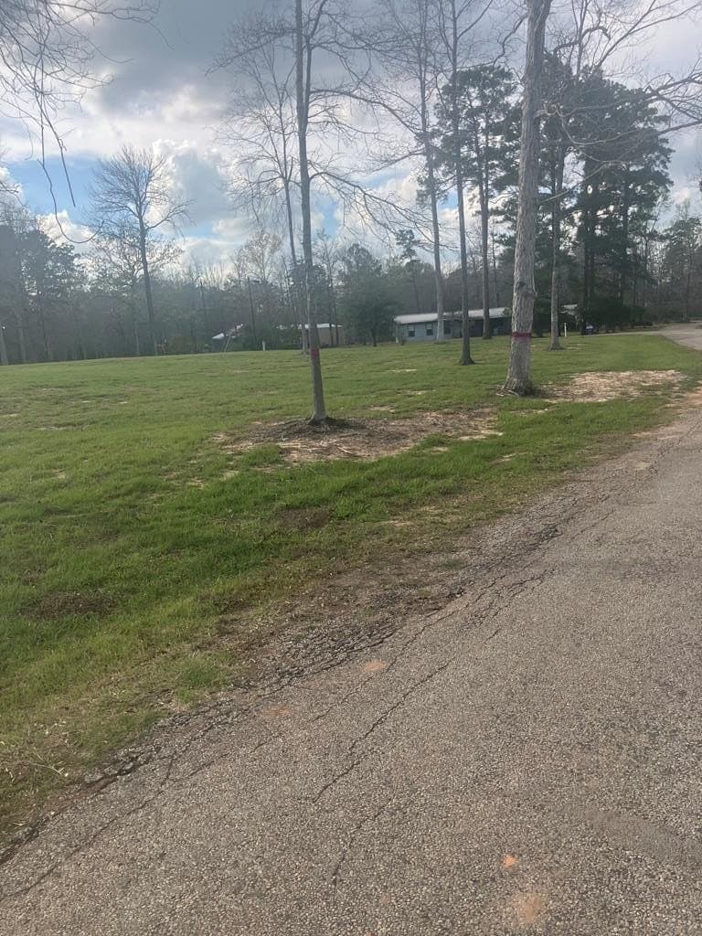 0.55 acres in Texas County - photo 6