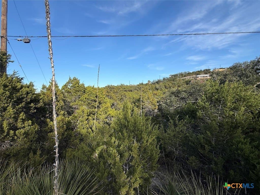 0.17 acres in Comal County featured view