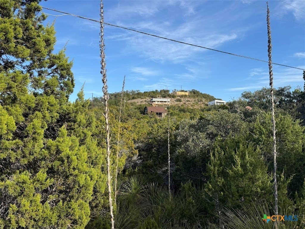 0.17 acres in Comal County gallery image 2