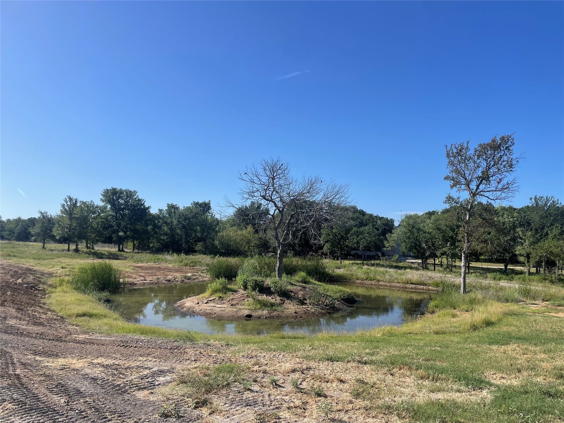 4.5 acres in Young County - photo 5