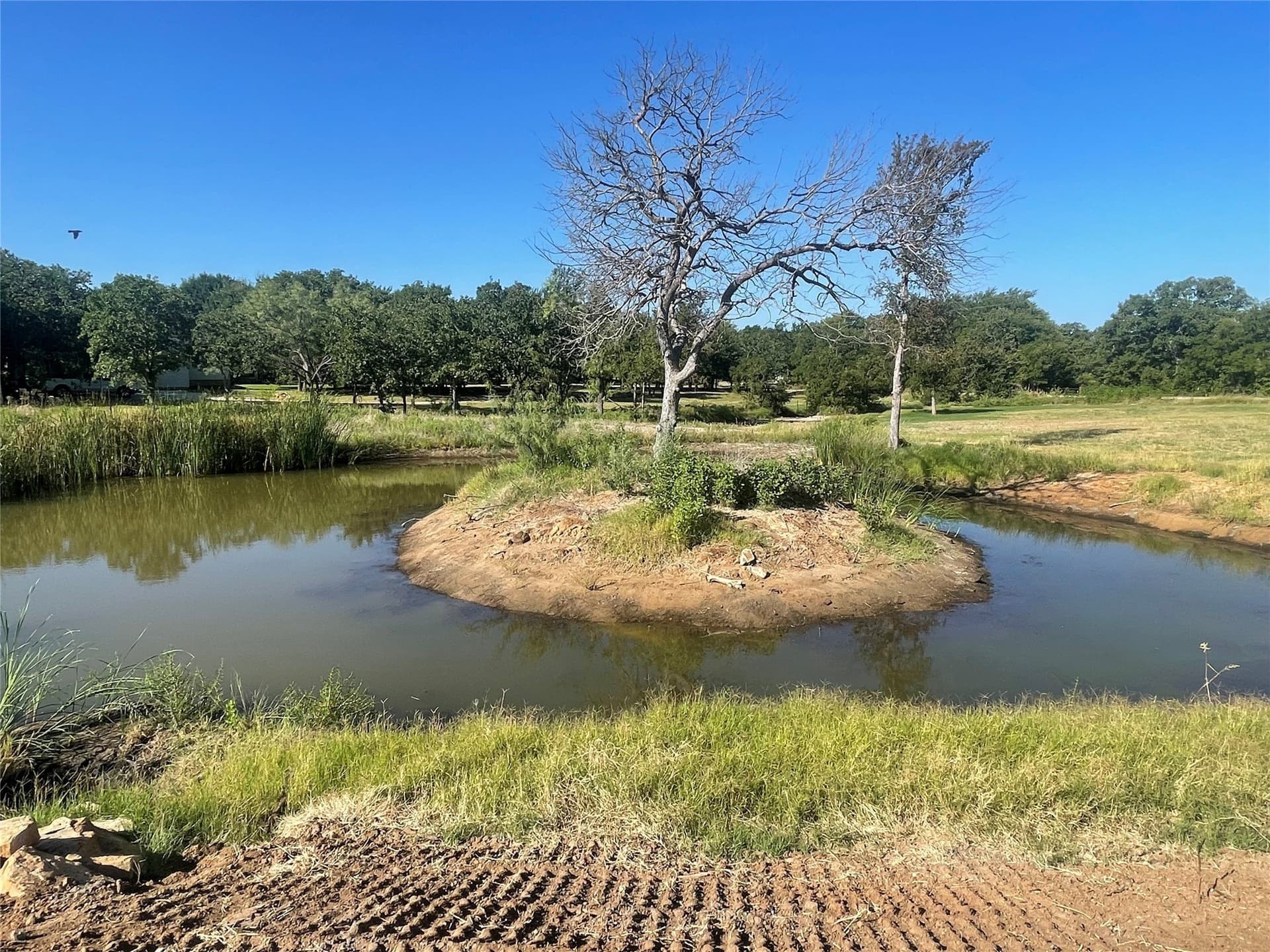 4.5 acres in Young County - photo 7