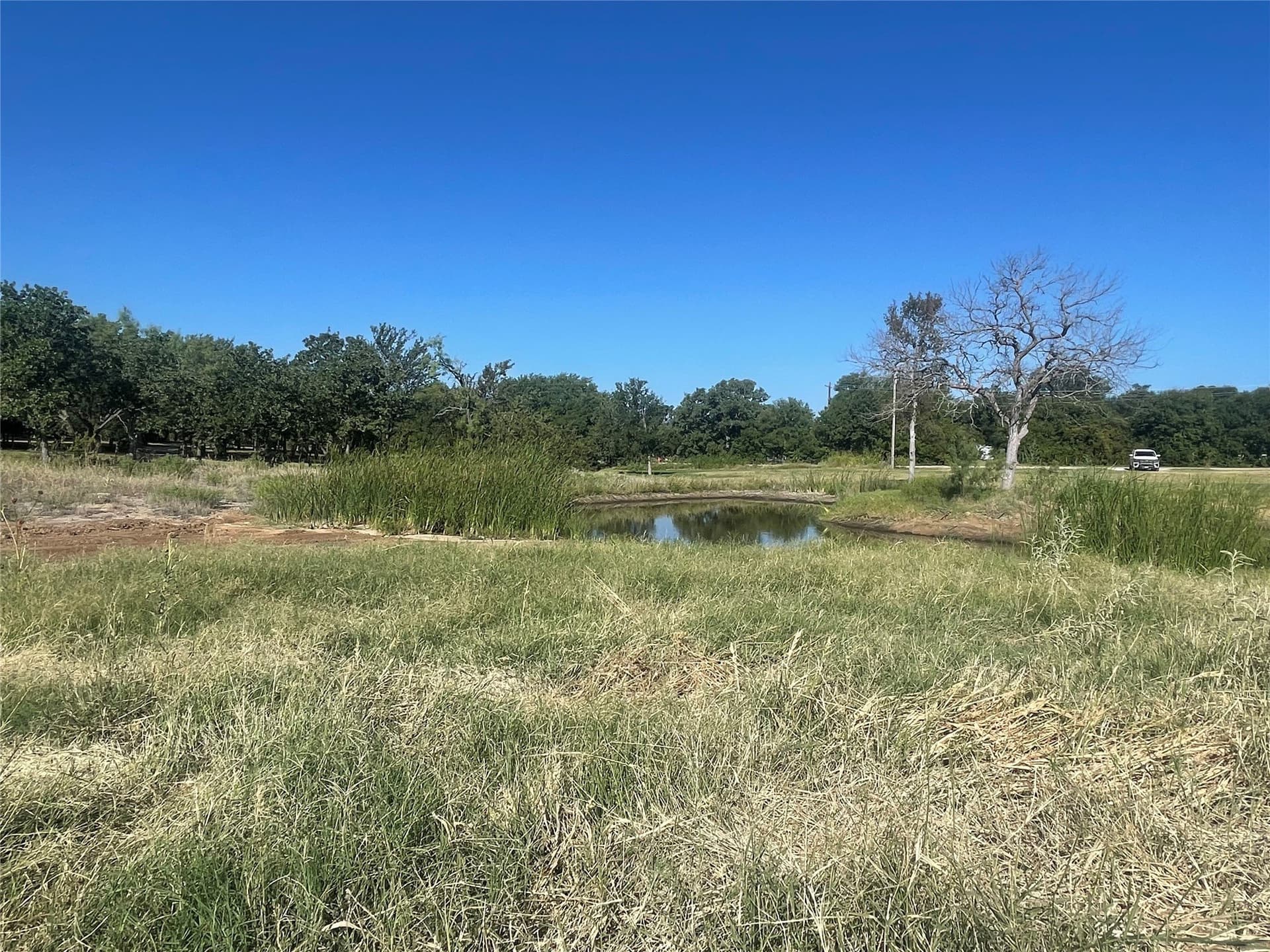 4.5 acres in Young County - photo 8