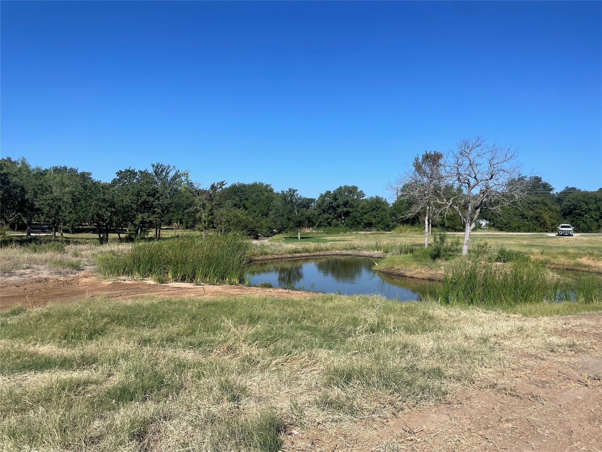 4.5 acres in Young County - photo 12