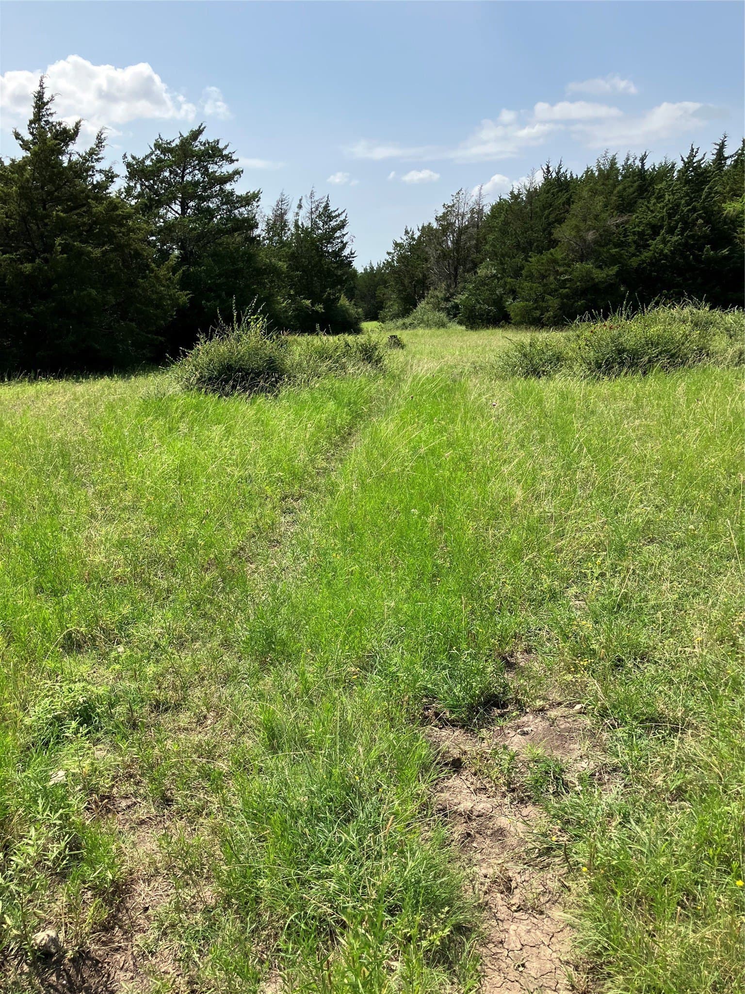 22.14 acres in Dallas County - photo 27