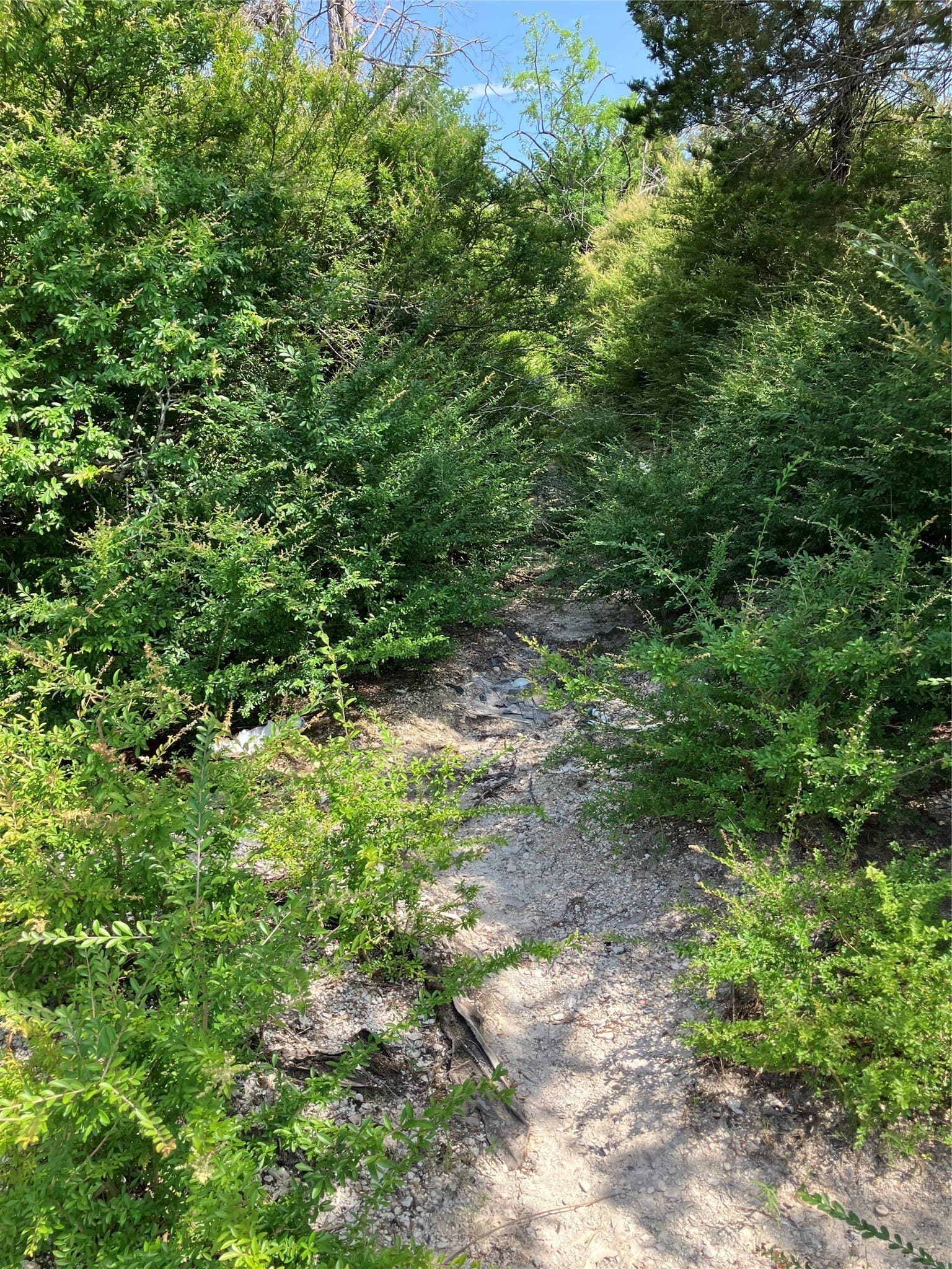 22.14 acres in Dallas County - photo 32