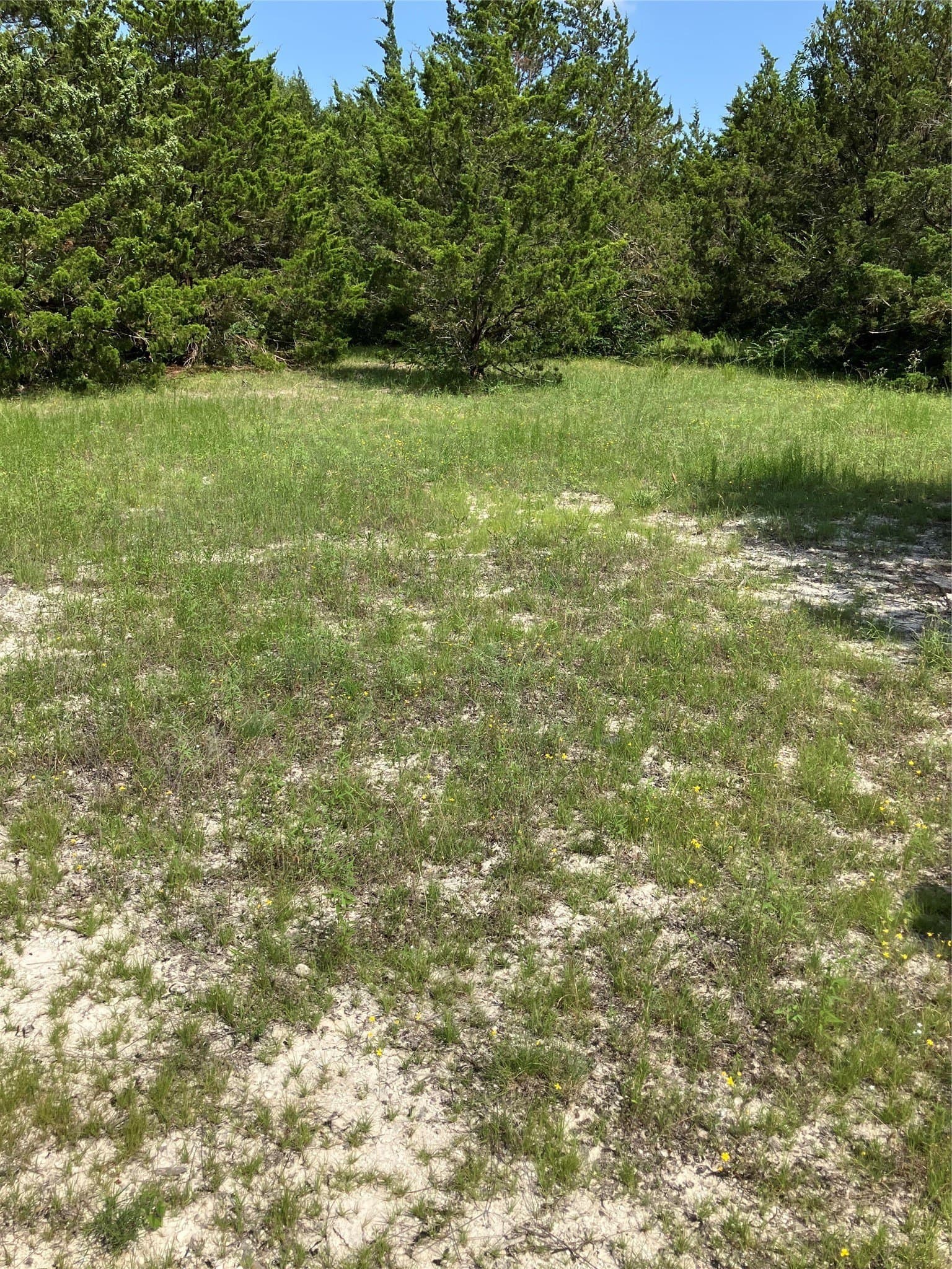 22.14 acres in Dallas County - photo 31