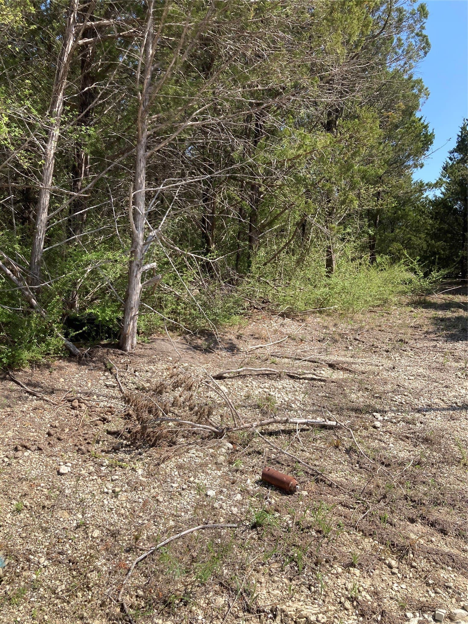 22.14 acres in Dallas County - photo 16