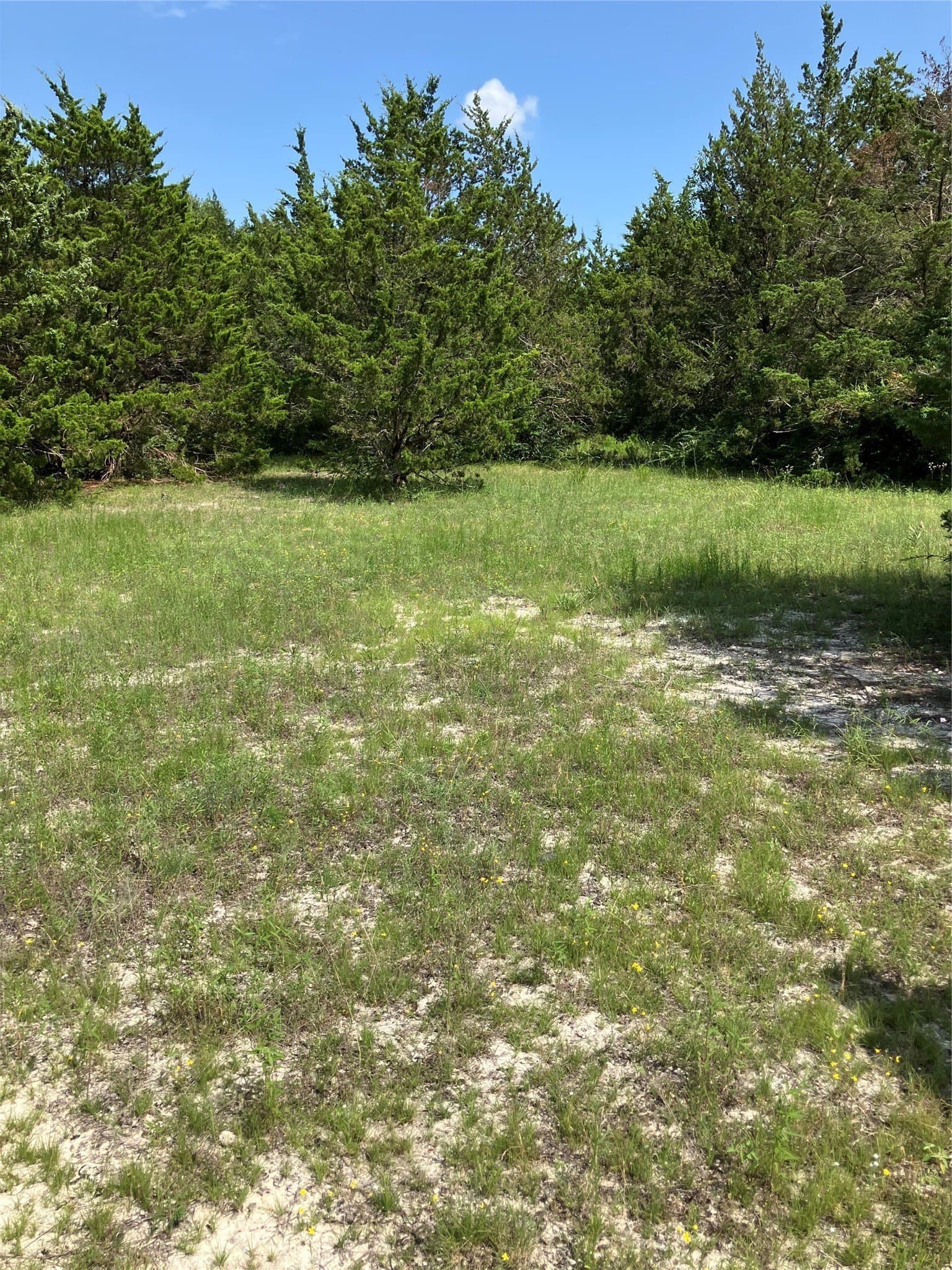22.14 acres in Dallas County - photo 30