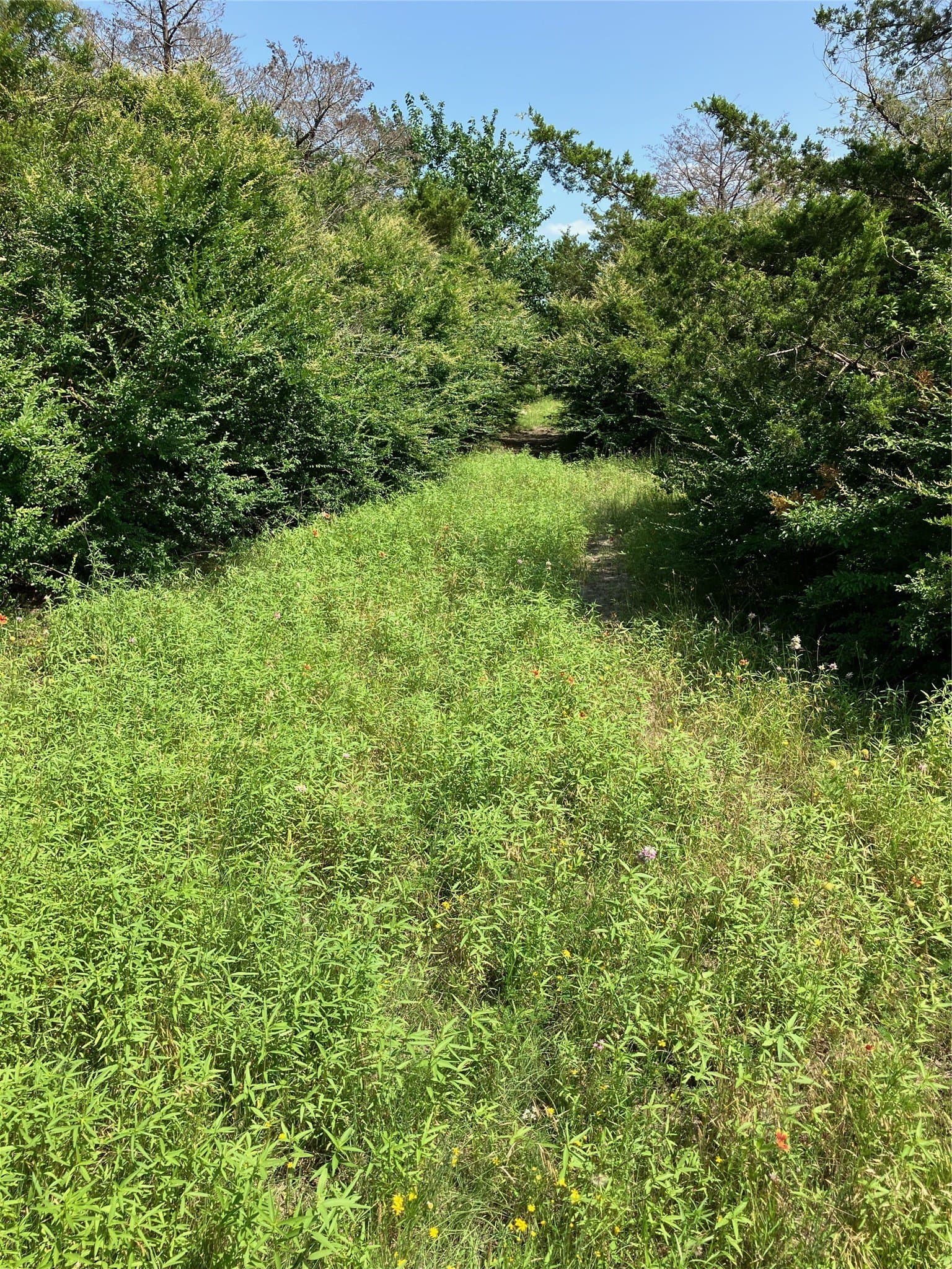 22.14 acres in Dallas County - photo 26