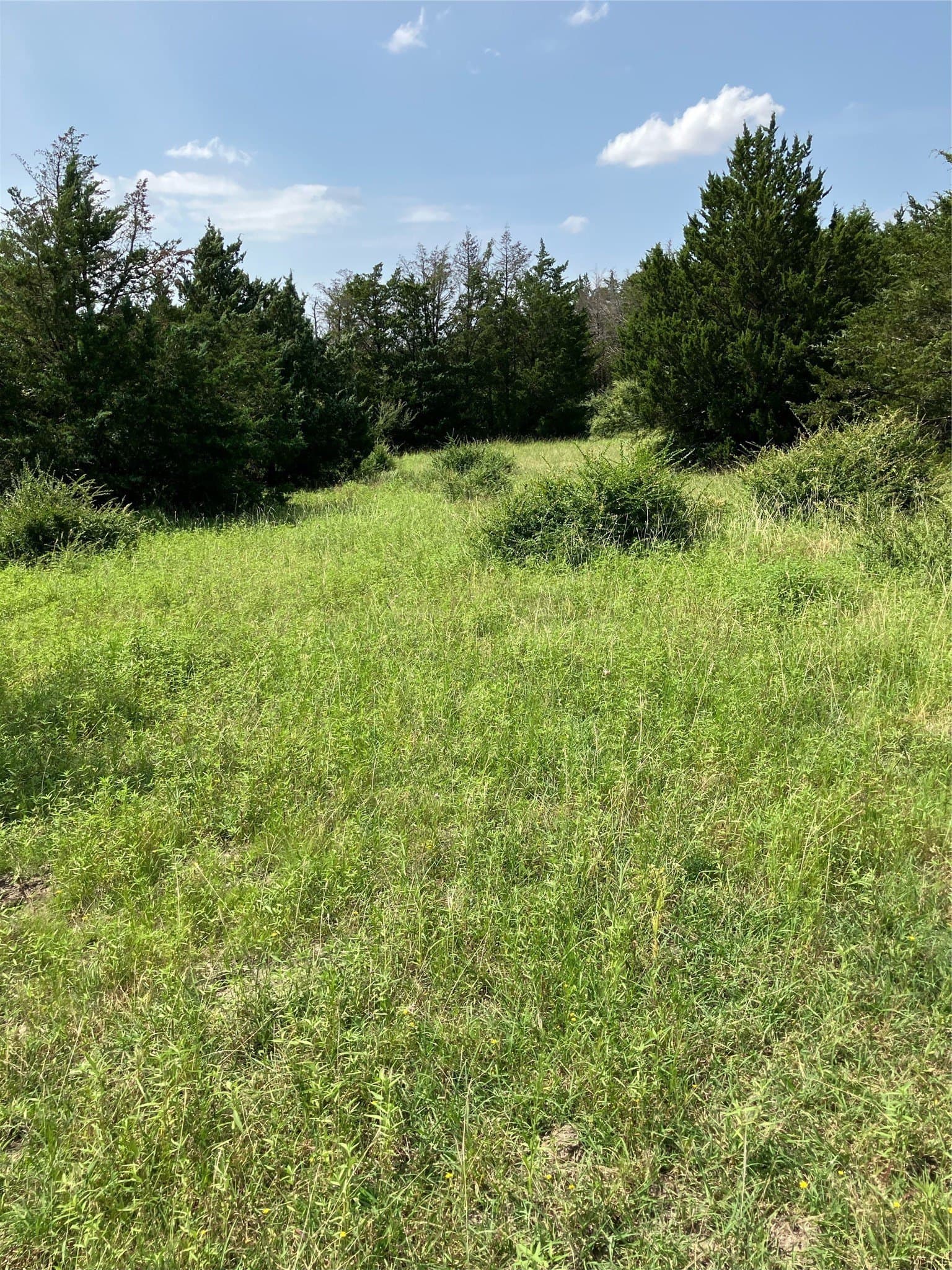 22.14 acres in Dallas County - photo 22