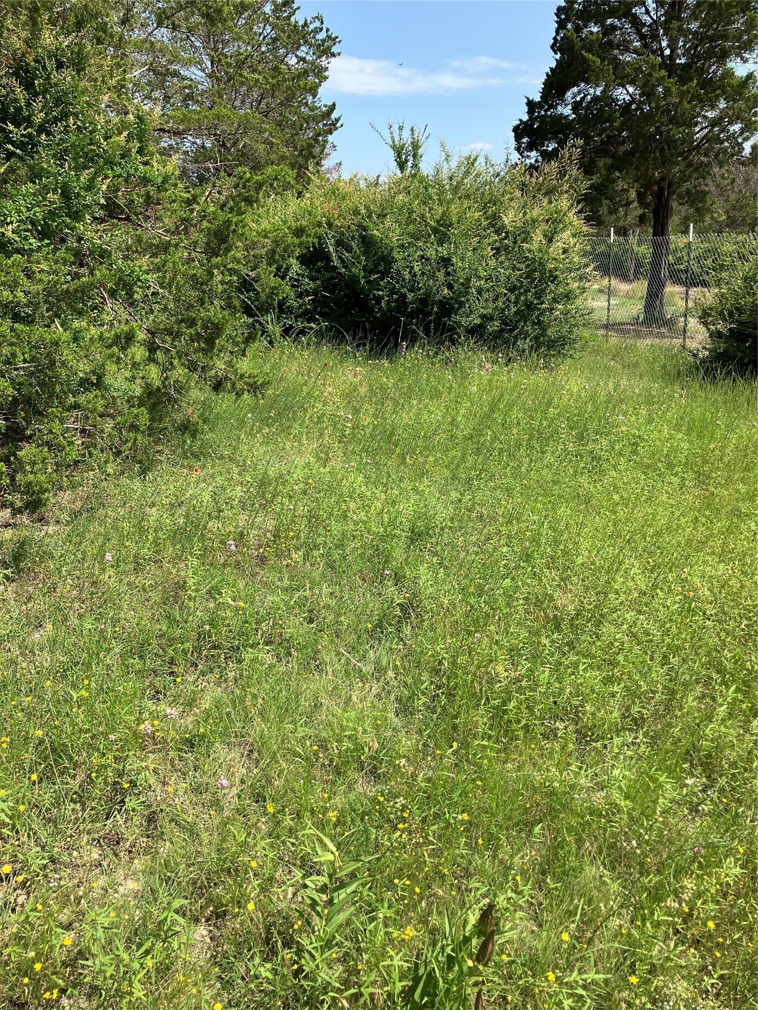 22.14 acres in Dallas County - photo 25