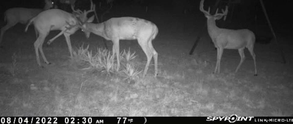 10.01 acres in Comanche County - photo 17