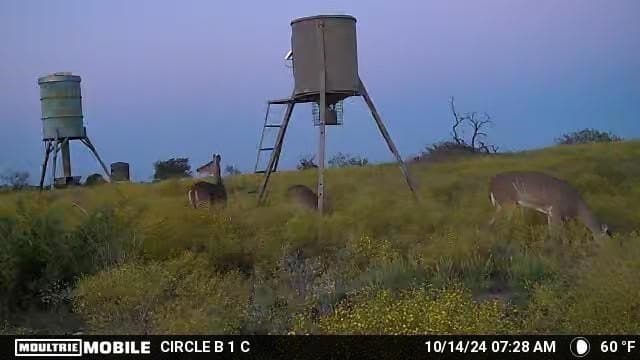 10.01 acres in Comanche County - photo 23