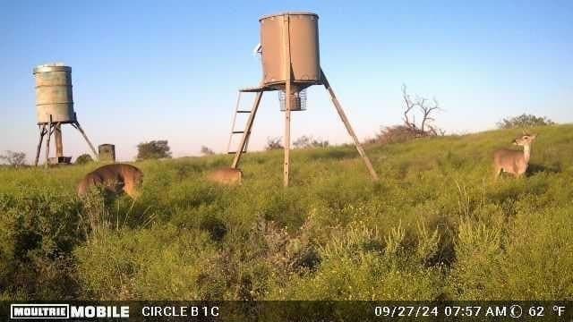 10.01 acres in Comanche County - photo 22