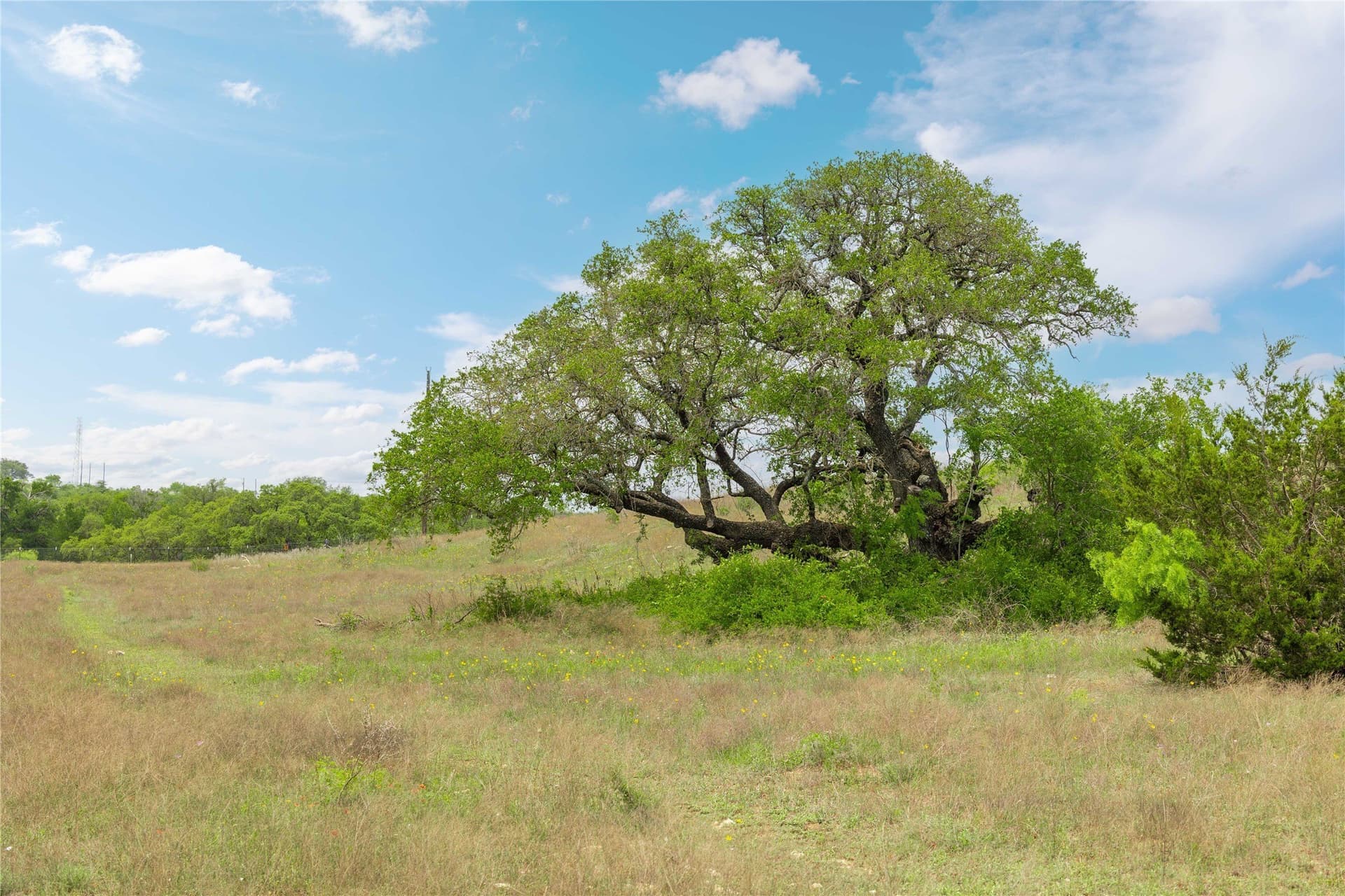 10.01 acres in Comanche County - photo 9