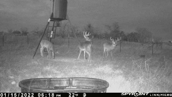 10.01 acres in Comanche County - photo 18