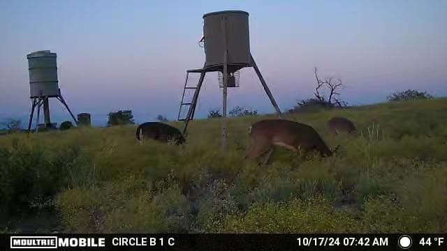 10.01 acres in Comanche County - photo 24