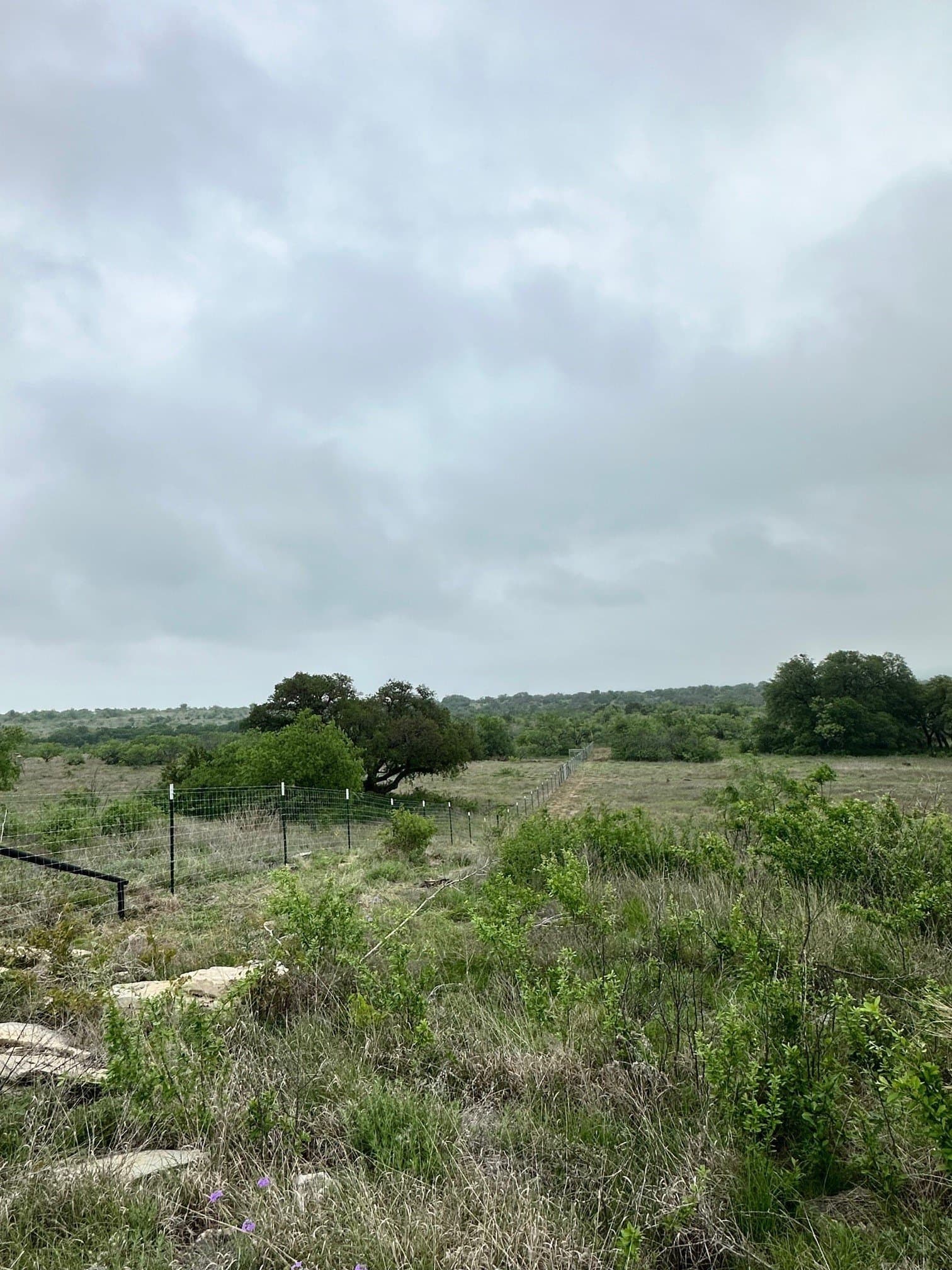 10.01 acres in Comanche County - photo 10