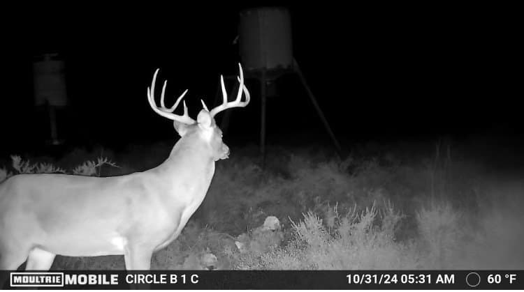 10.01 acres in Comanche County - photo 13