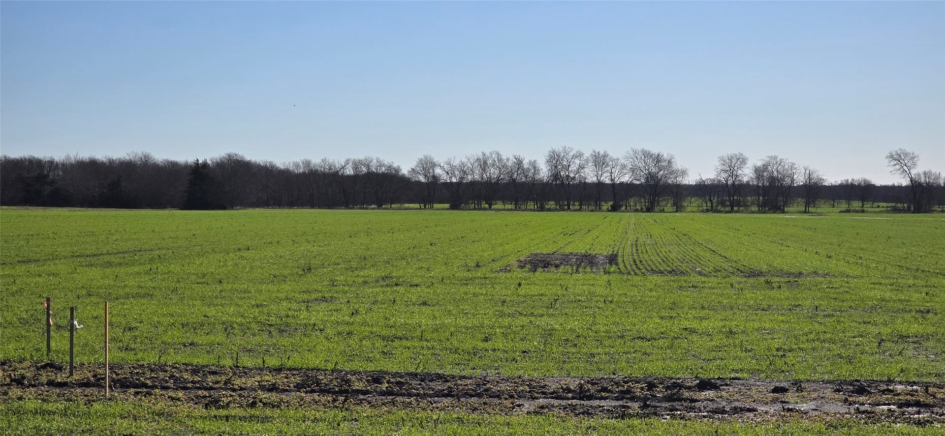 197.79 acres in Kaufman County gallery image 4