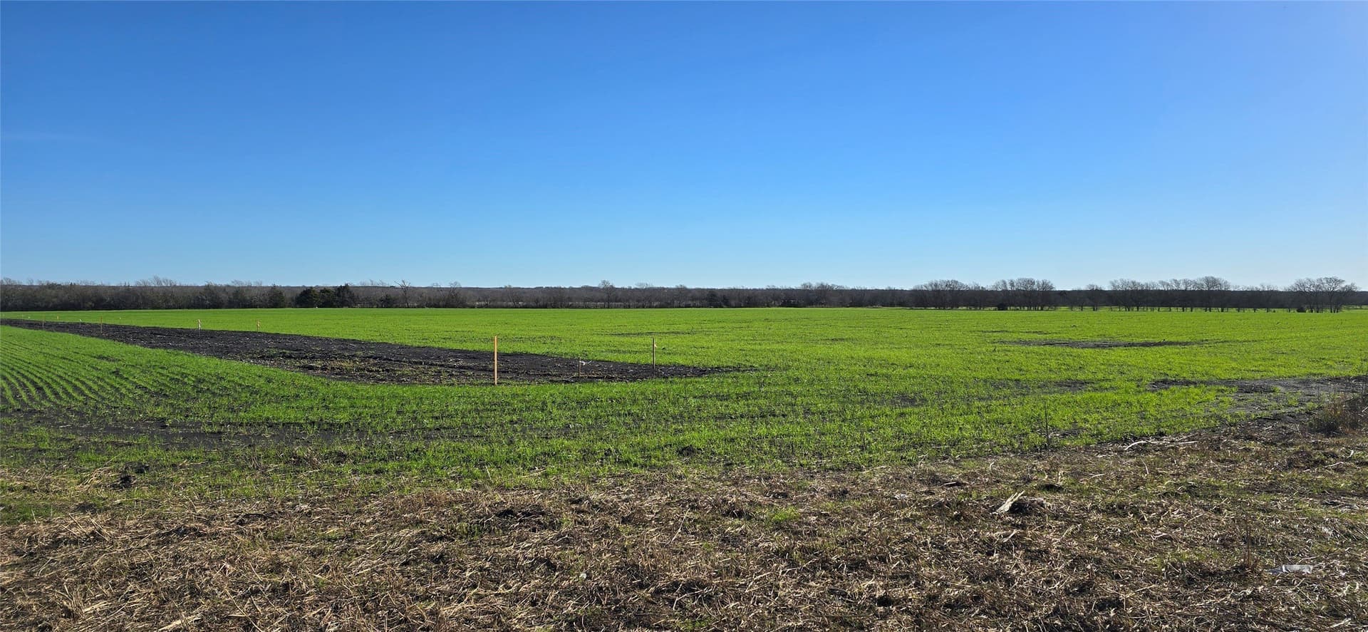 197.79 acres in Kaufman County featured view