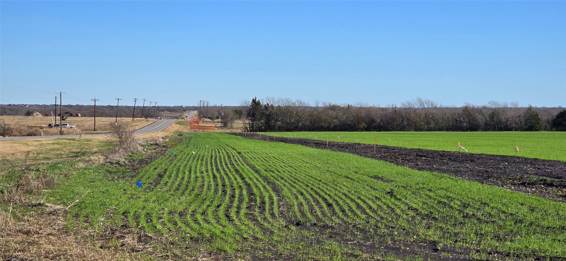 197.79 acres in Kaufman County - photo 6