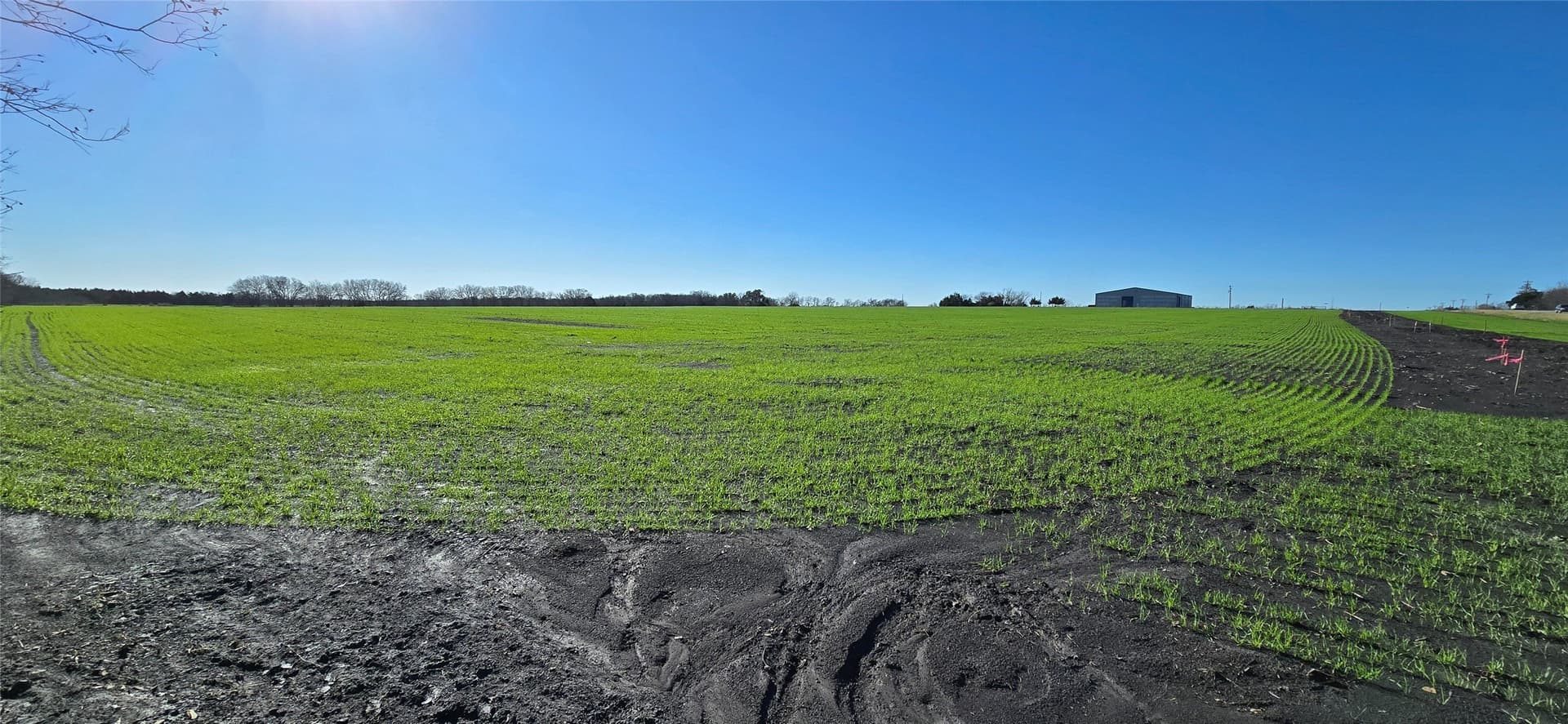 197.79 acres in Kaufman County - photo 10