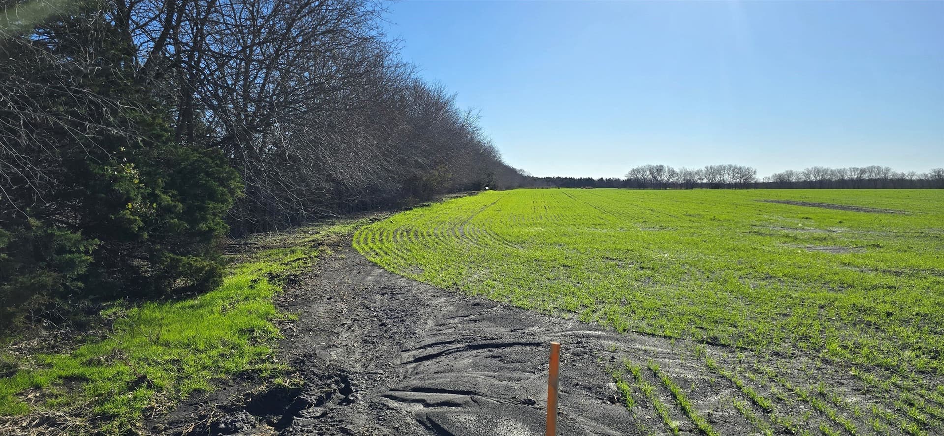 197.79 acres in Kaufman County - photo 8