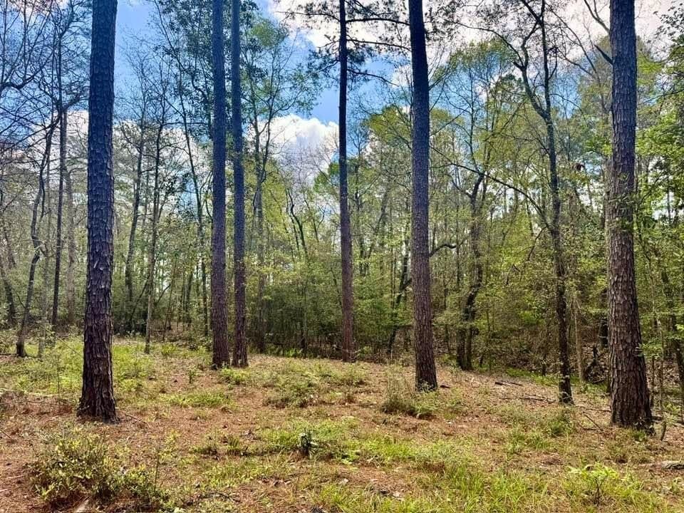 5.6 acres in Texas County