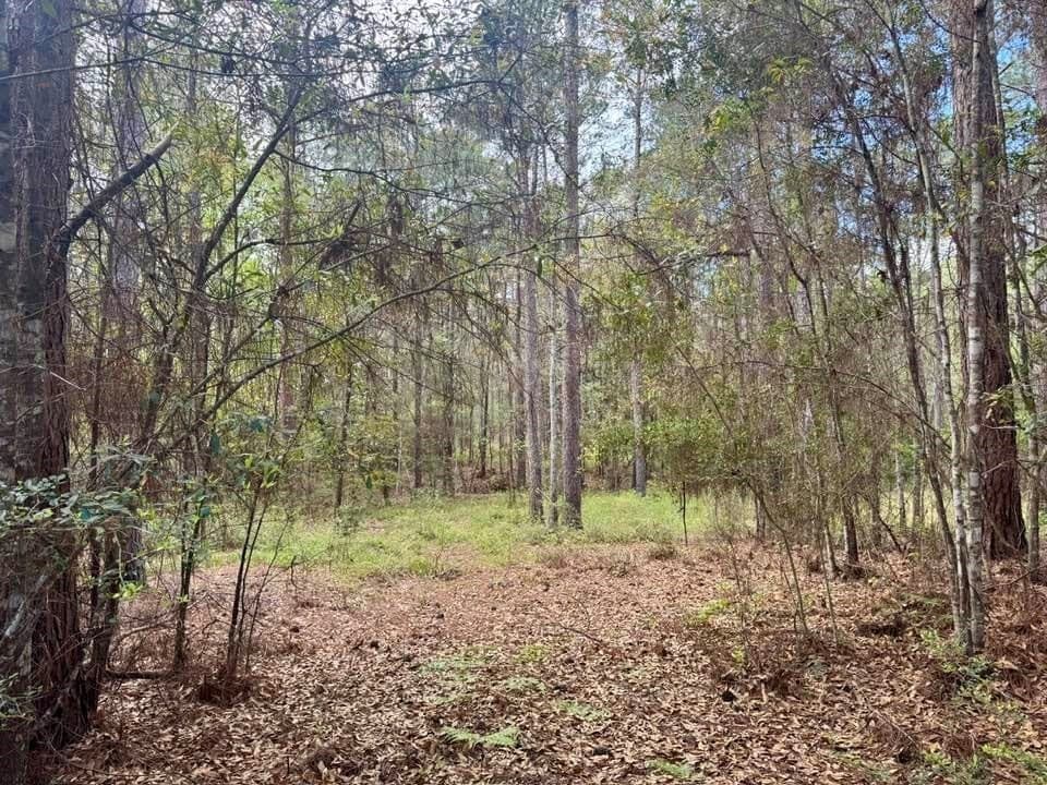 5.6 acres in Texas County featured view
