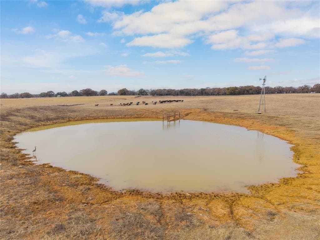 31.89 acres in Comanche County gallery image 3
