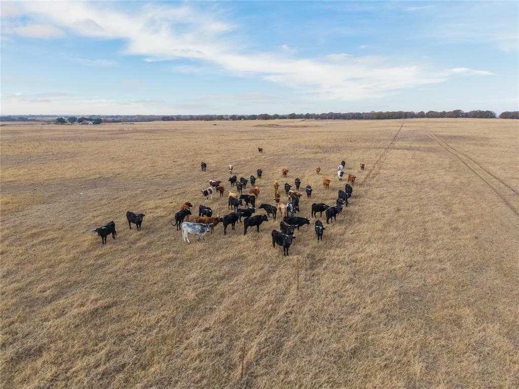 31.89 acres in Comanche County featured view
