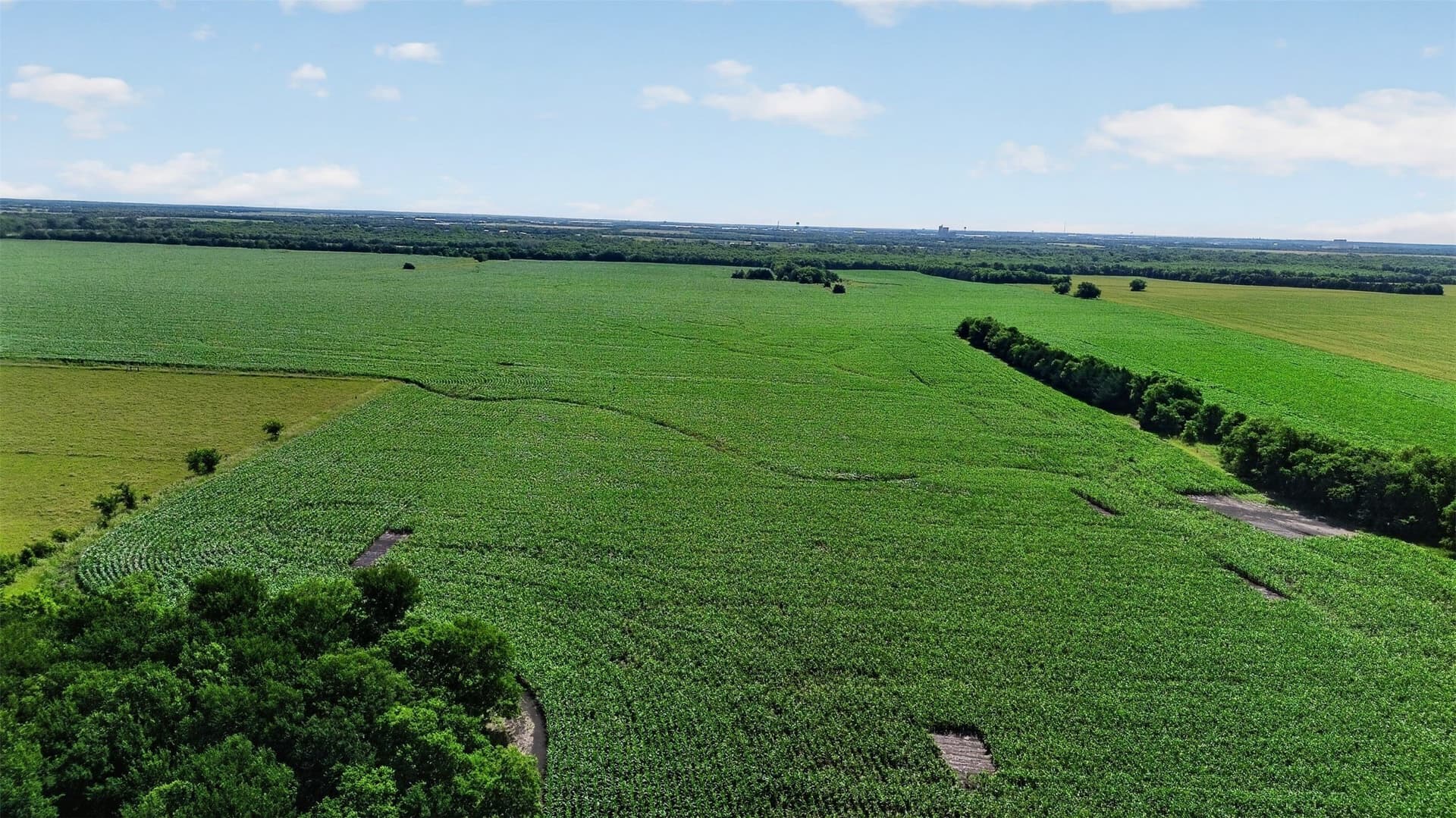 281.55 acres in Hunt County - photo 13