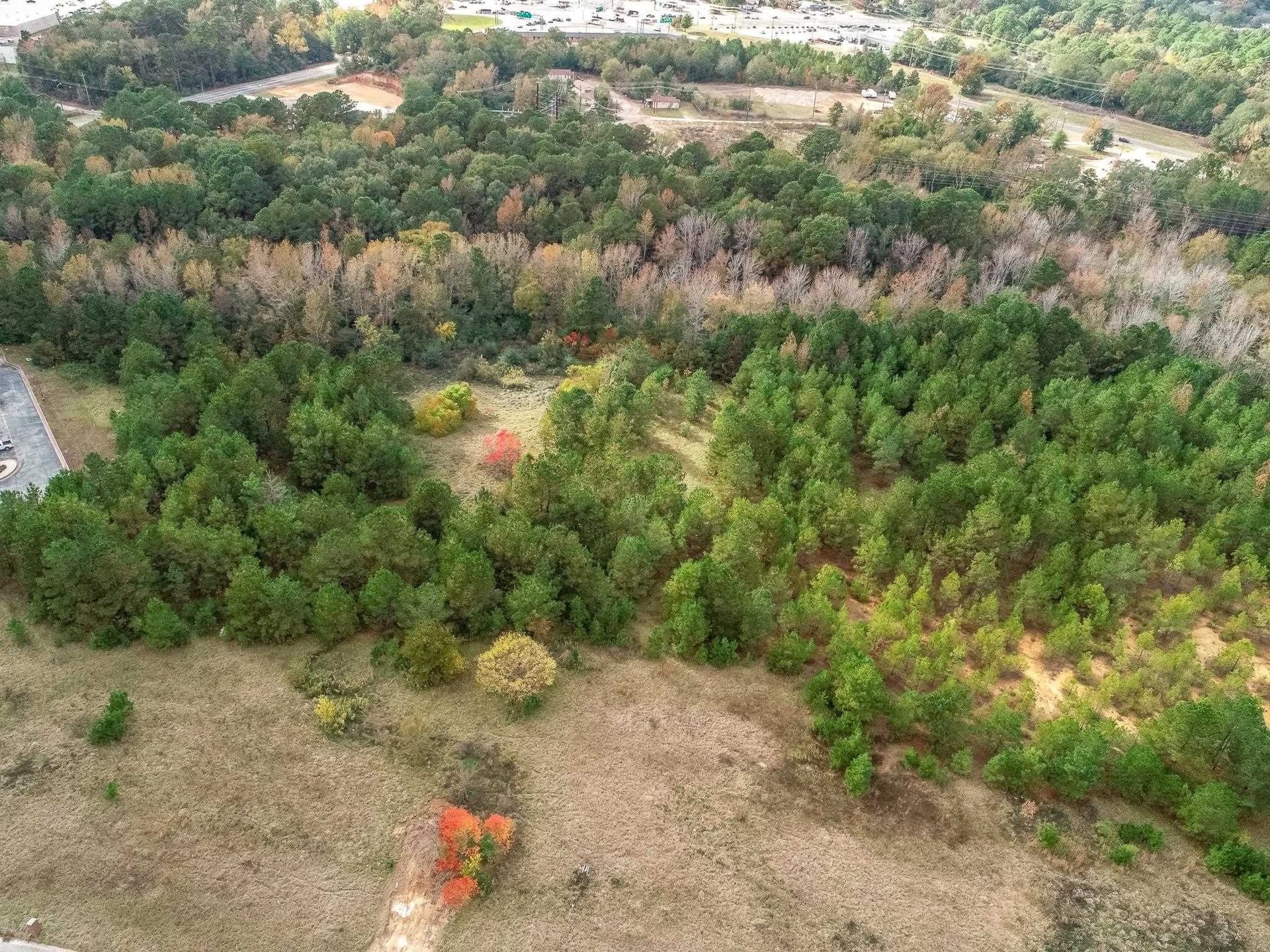 16.28 acres in Rusk County gallery image 3