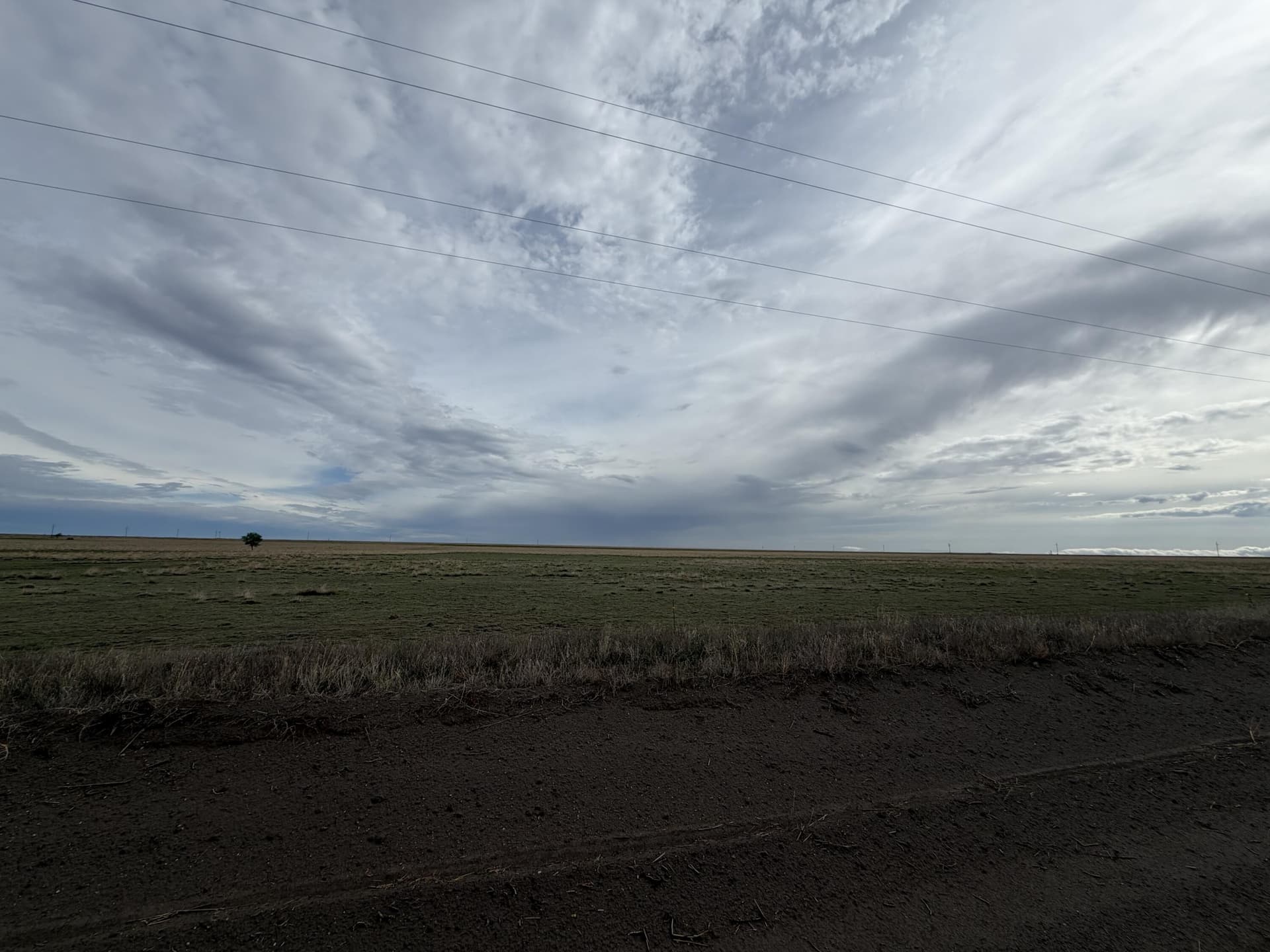 160 acres in Lubbock County featured view