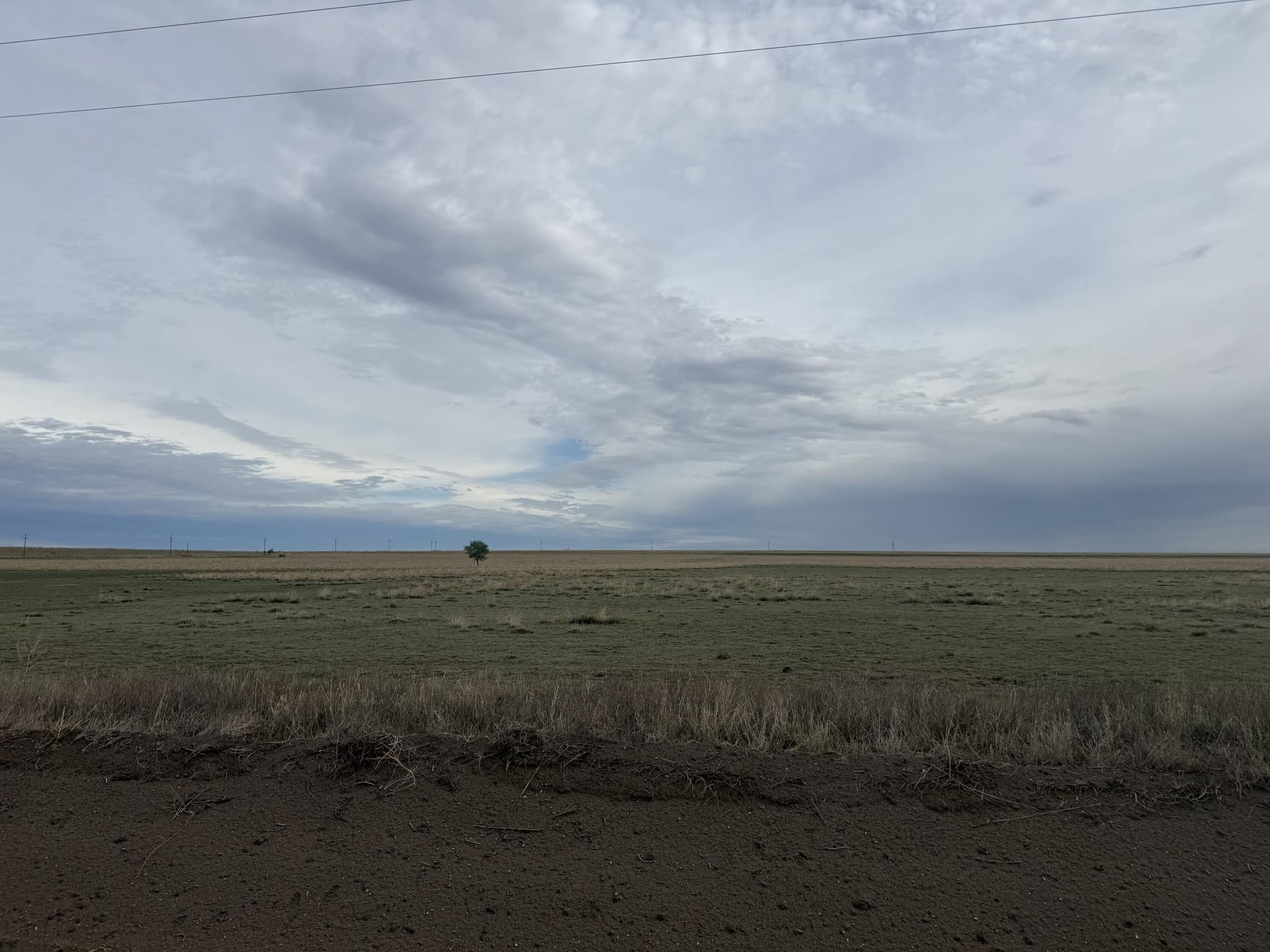 160 acres in Lubbock County gallery image 3