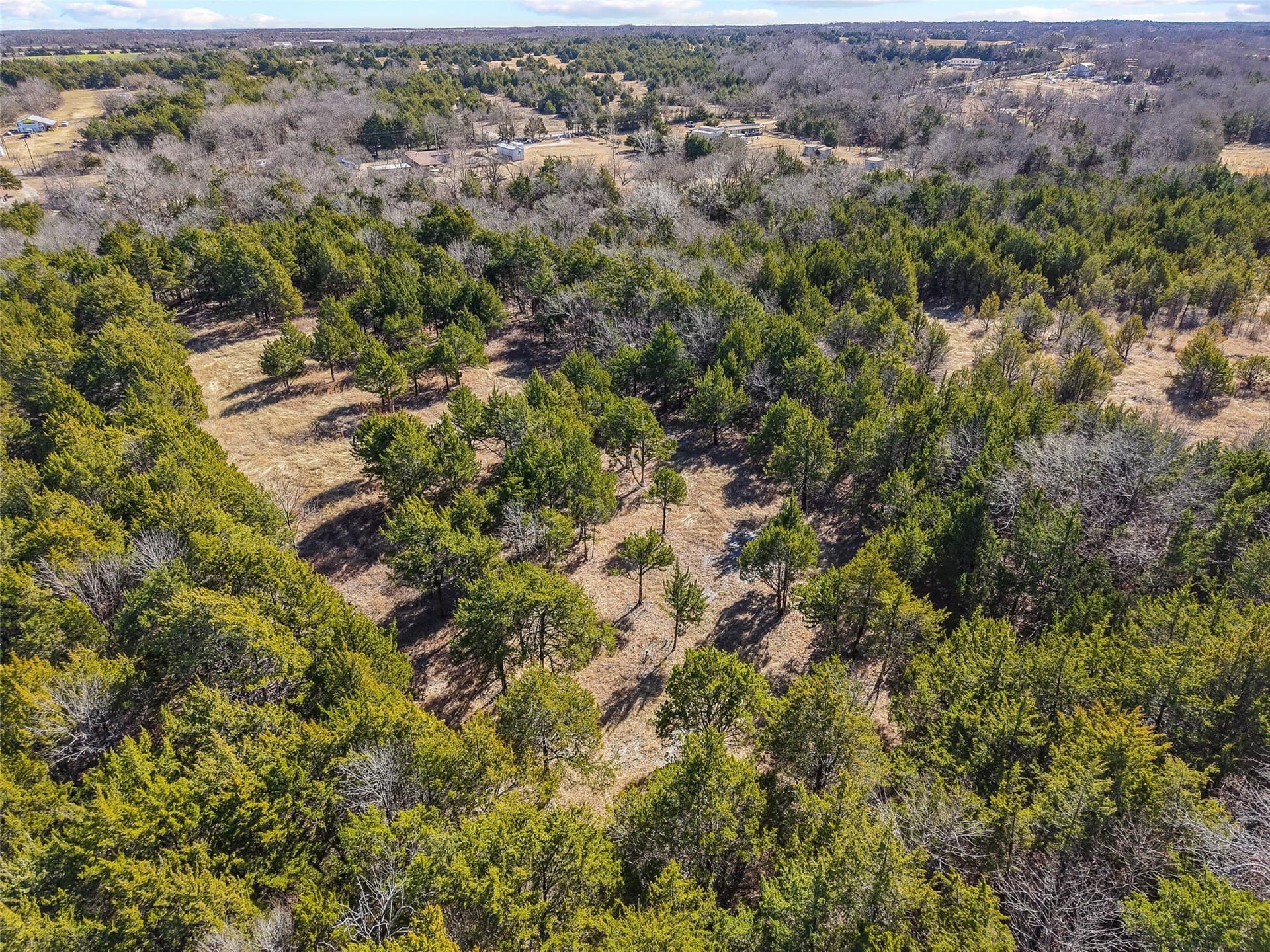 12.15 acres in Grayson County - photo 17