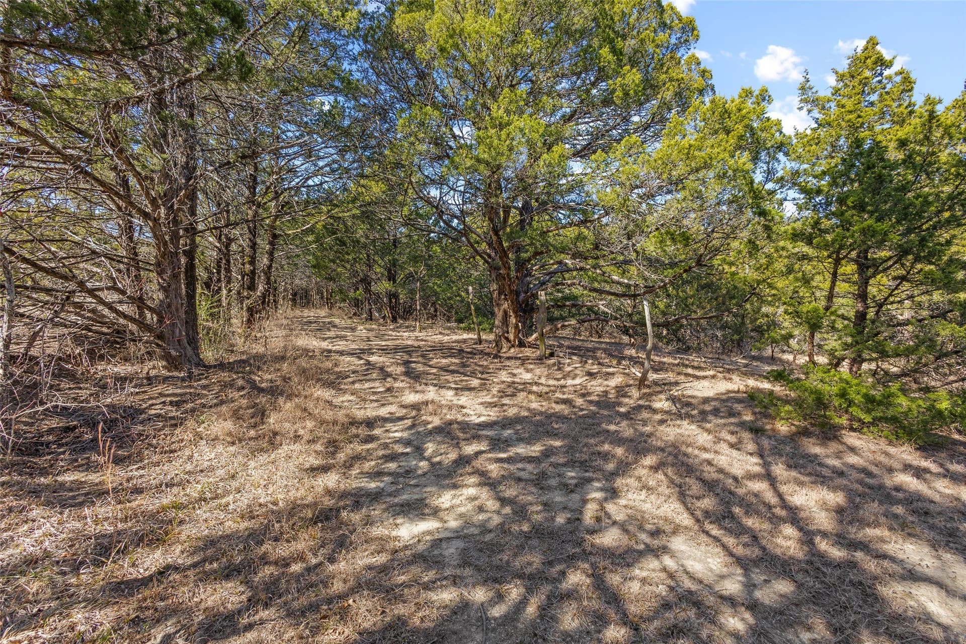 12.15 acres in Grayson County - photo 22