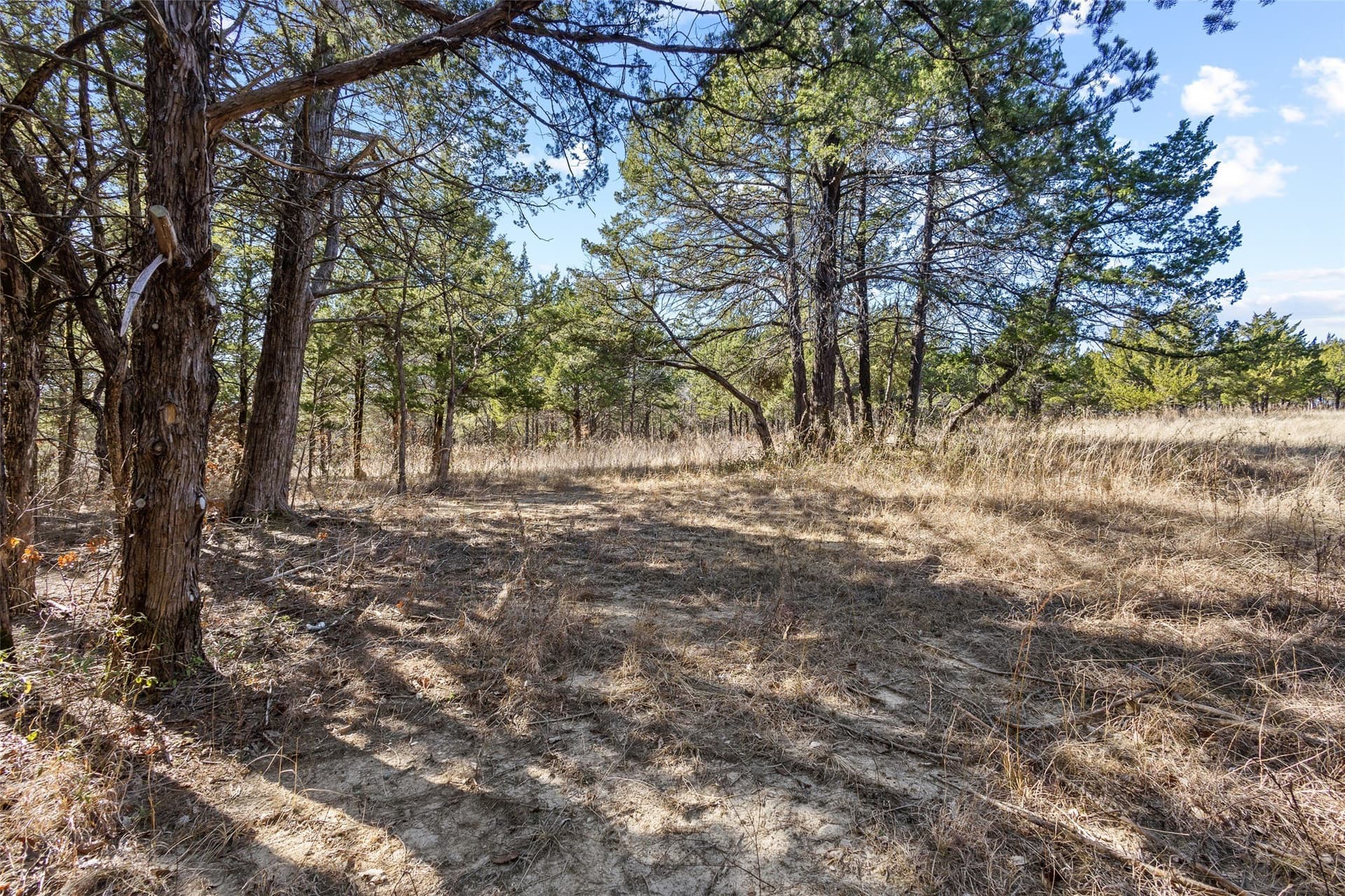 12.15 acres in Grayson County gallery image 2