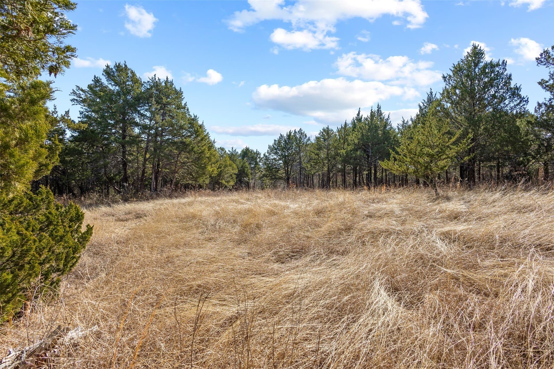 12.15 acres in Grayson County - photo 23