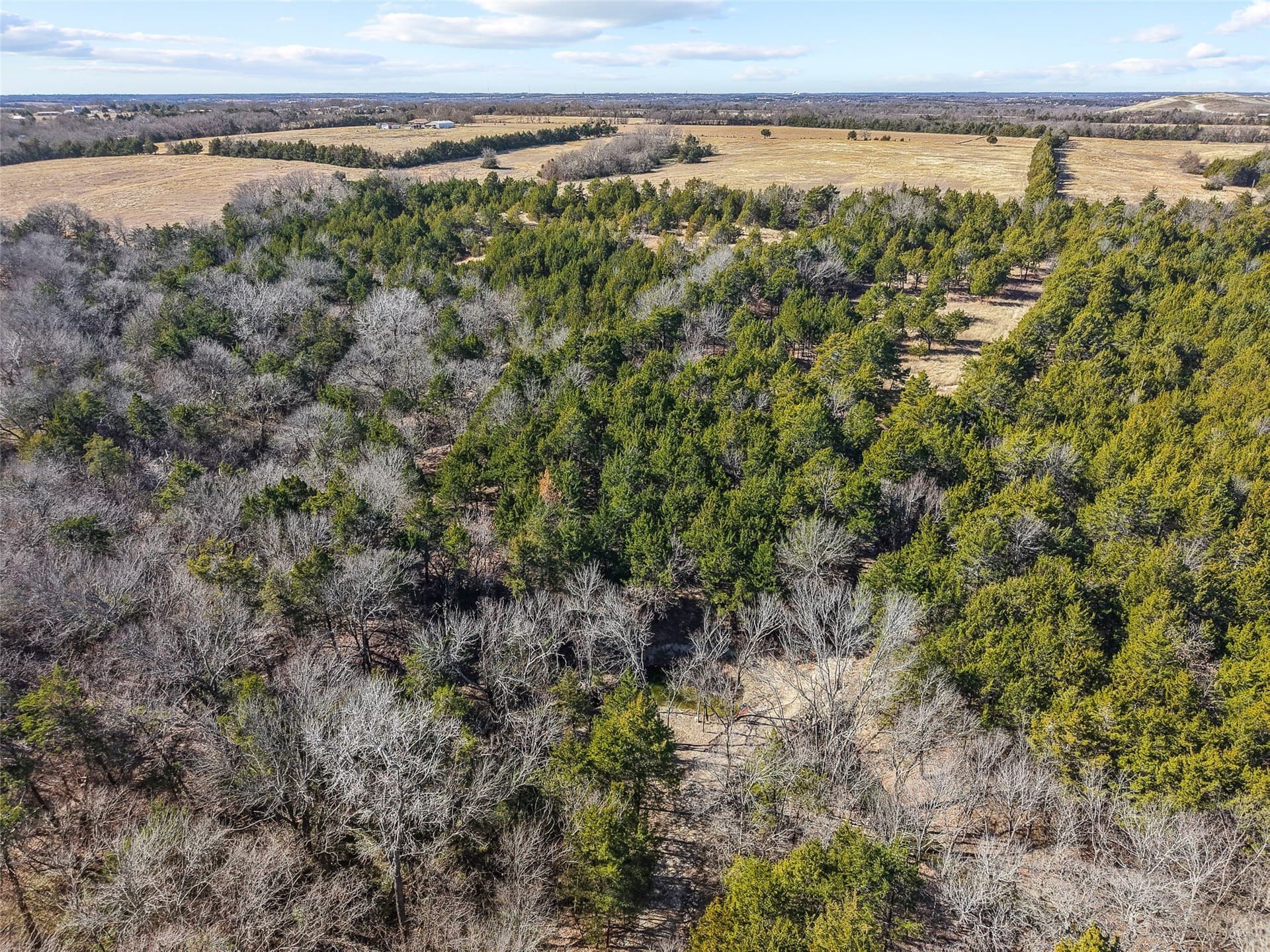 12.15 acres in Grayson County - photo 20