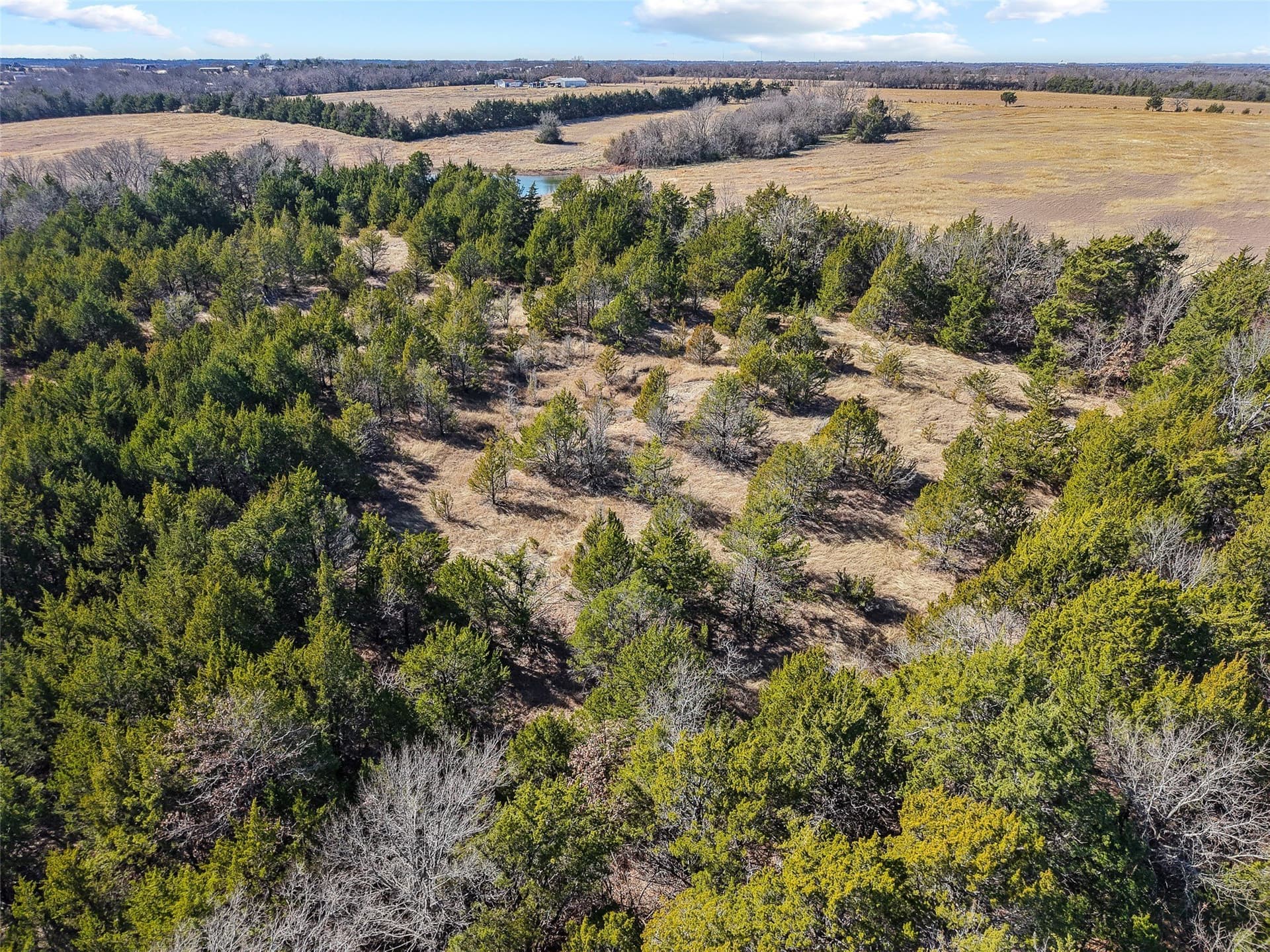 12.15 acres in Grayson County - photo 18